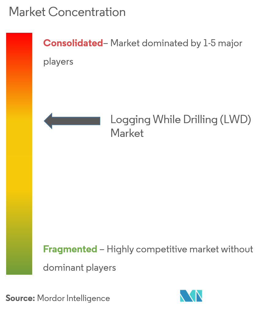 Schlumberger Limited, Halliburton Company, China Oilfield Services Limited, Weatherford International Plc, Baker Hughes Company